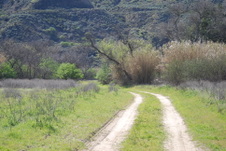 Enlarge photo 37