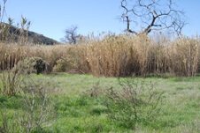 Enlarge photo 38