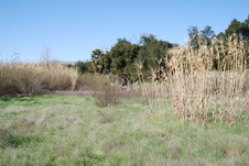 Enlarge photo 39