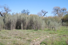 Enlarge photo 40