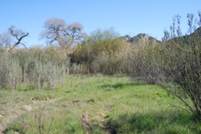 Enlarge photo 41