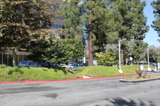 Enlarge photo 23