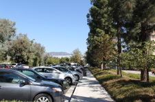 Enlarge photo 27