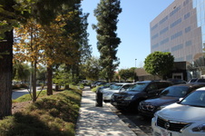 Enlarge photo 30