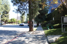 Enlarge photo 33