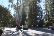 Enlarge photo 10