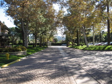 Enlarge photo 25