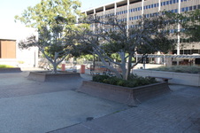 Enlarge photo 23