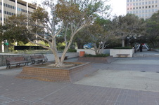 Enlarge photo 27