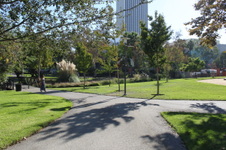 Enlarge photo 8