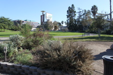 Enlarge photo 13