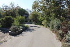 Enlarge photo 14