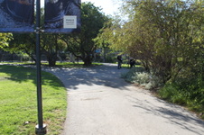 Enlarge photo 17