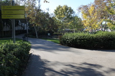 Enlarge photo 20