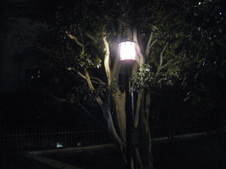 Enlarge photo 15