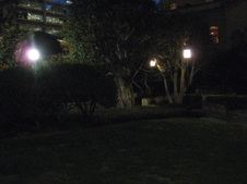 Enlarge photo 17