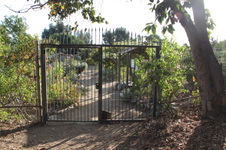 Enlarge photo 16