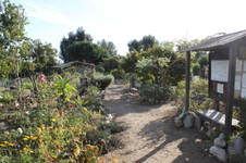 Enlarge photo 18