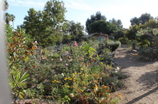Enlarge photo 19