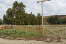 Enlarge photo 8