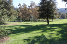 Griffith Park