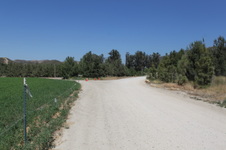 Enlarge photo 10