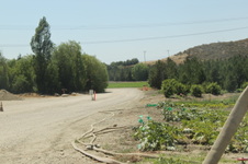 Enlarge photo 12