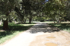 Enlarge photo 18