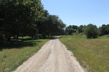 Enlarge photo 23