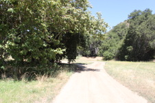 Enlarge photo 25