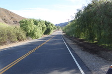 Enlarge photo 17
