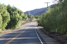 Enlarge photo 18