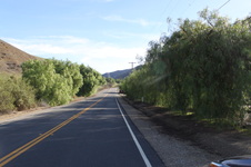Enlarge photo 22