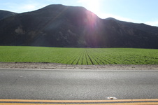 Enlarge photo 28