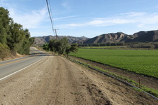 Enlarge photo 31