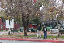 Enlarge photo 33