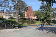 Enlarge photo 14