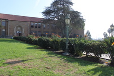 Enlarge photo 21