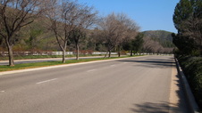 Enlarge photo 14