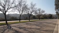 Enlarge photo 19