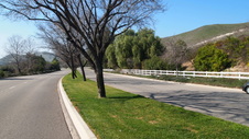 Enlarge photo 27