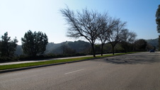 Enlarge photo 31