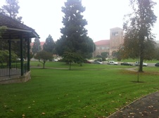 Enlarge photo 25