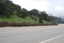 Patrero Road/ Driving