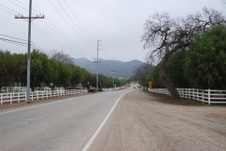 Enlarge photo 24