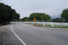 Enlarge photo 28