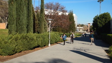 Enlarge photo 15
