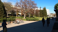 Enlarge photo 16