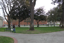 Enlarge photo 33