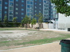 Enlarge photo 95